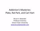 bruce alexander addiction s