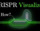 but what is crispr cas9 an