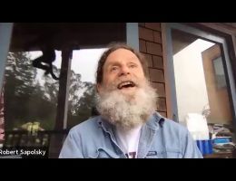 robert sapolsky hate and the brain