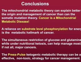 cancer mitochondria and metabolism