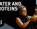 the physics of life how water