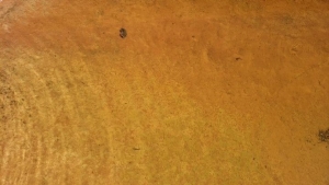 59664349_104440777380101_4248505736333687943_n